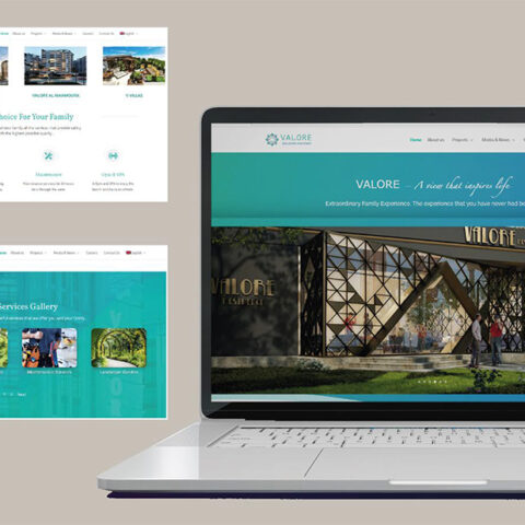 Valore Website